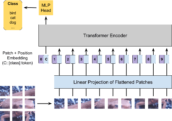 Figure 3 for Image and Model Transformation with Secret Key for Vision Transformer