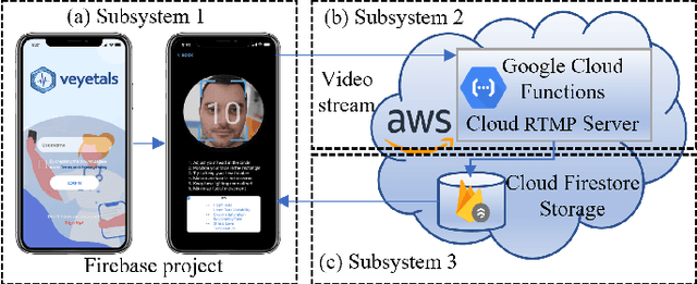 Figure 1 for ReViSe: Remote Vital Signs Measurement Using Smartphone Camera