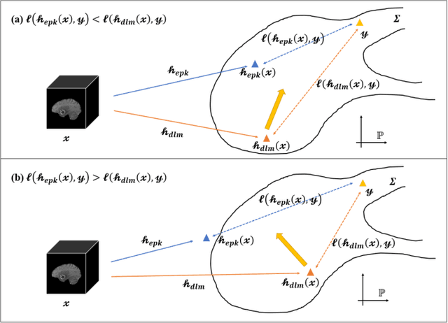 Figure 3 for Expert Knowledge-guided Geometric Representation Learning for Magnetic Resonance Imaging-based Glioma Grading