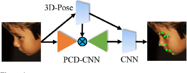 Figure 1 for Disentangling 3D Pose in A Dendritic CNN for Unconstrained 2D Face Alignment