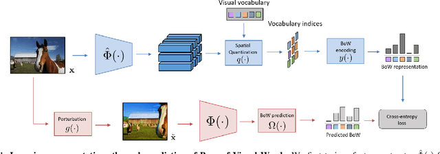 Figure 1 for Learning Representations by Predicting Bags of Visual Words