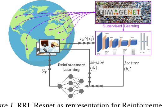 Figure 1 for RRL: Resnet as representation for Reinforcement Learning