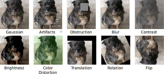 Figure 2 for Are Adversarial Robustness and Common Perturbation Robustness Independent Attributes ?