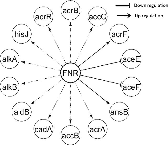 Figure 1 for Semi-Supervised Prediction of Gene Regulatory Networks Using Machine Learning Algorithms
