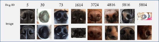 Figure 1 for A Competitive Method for Dog Nose-print Re-identification