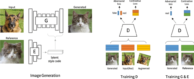 Figure 2 for Contrastive Learning for Unsupervised Image-to-Image Translation