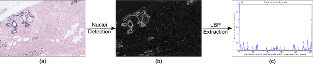 Figure 3 for Evaluation of Joint Multi-Instance Multi-Label Learning For Breast Cancer Diagnosis