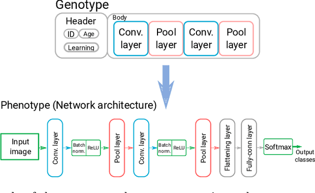 Figure 1 for Optimizing Convolutional Neural Networks for Embedded Systems by Means of Neuroevolution