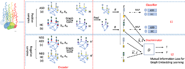 Figure 1 for Graph Embedding Using Infomax for ASD Classification and Brain Functional Difference Detection