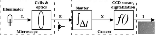 Figure 1 for Phase Contrast Microscopy Cell PopulationSegmentation: A Survey