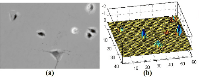 Figure 3 for Phase Contrast Microscopy Cell PopulationSegmentation: A Survey