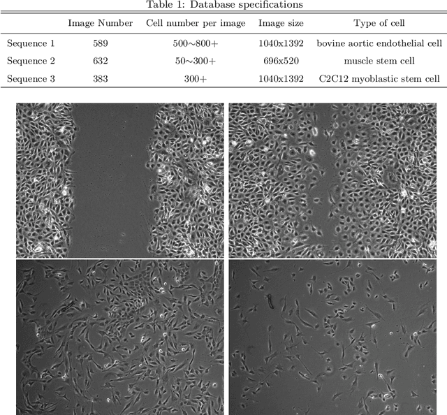 Figure 2 for Phase Contrast Microscopy Cell PopulationSegmentation: A Survey