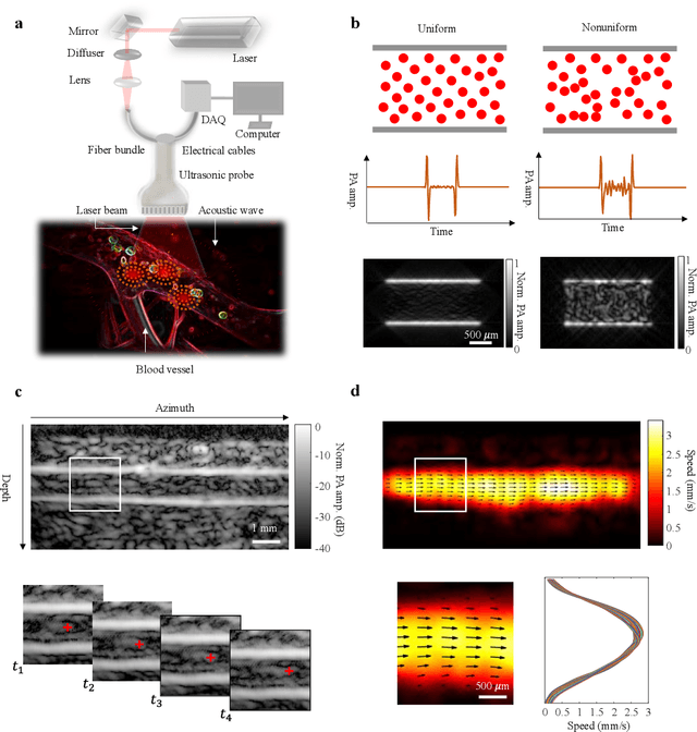 Figure 1 for Photoacoustic vector tomography for deep hemodynamic imaging