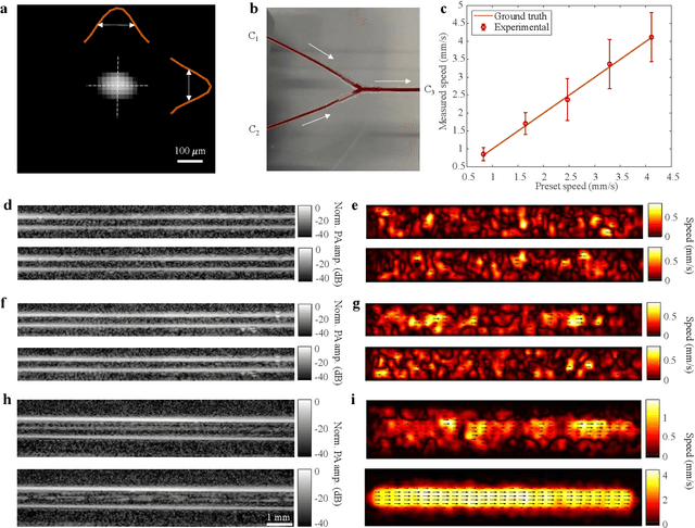 Figure 2 for Photoacoustic vector tomography for deep hemodynamic imaging