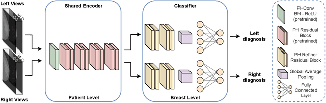 Figure 4 for Multi-View Breast Cancer Classification via Hypercomplex Neural Networks