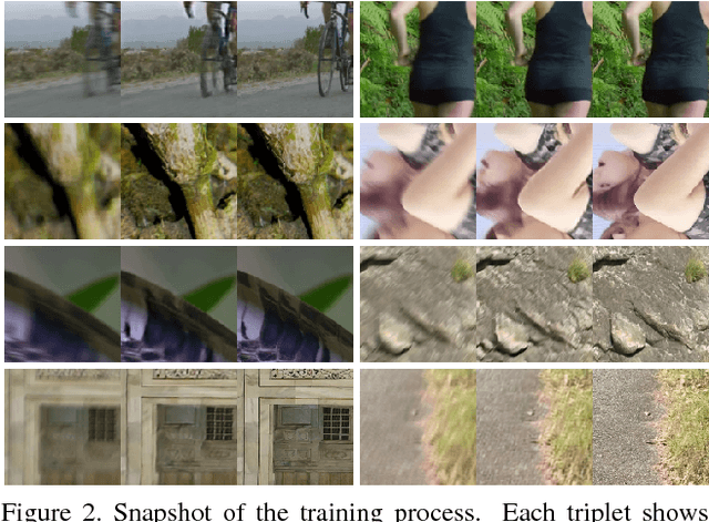 Figure 2 for Learning Blind Motion Deblurring