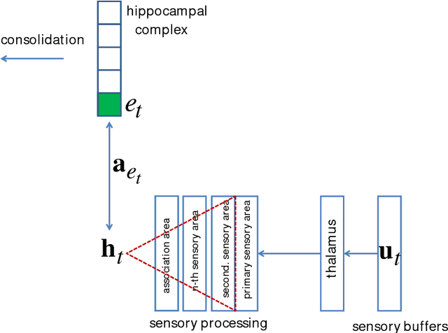 Figure 1 for The Tensor Memory Hypothesis