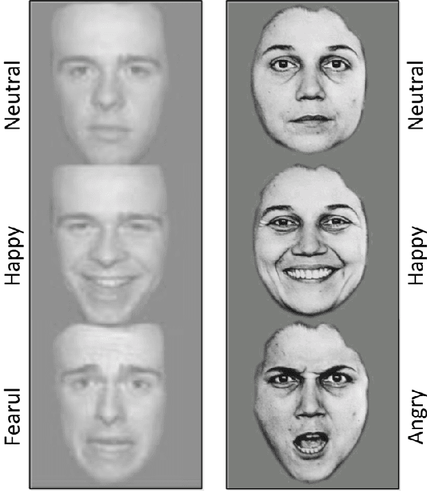 Figure 3 for On the Existence of Synchrostates in Multichannel EEG Signals during Face-perception Tasks