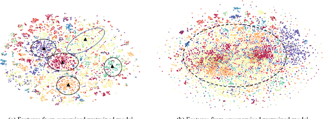Figure 3 for Fully Self-Supervised Learning for Semantic Segmentation