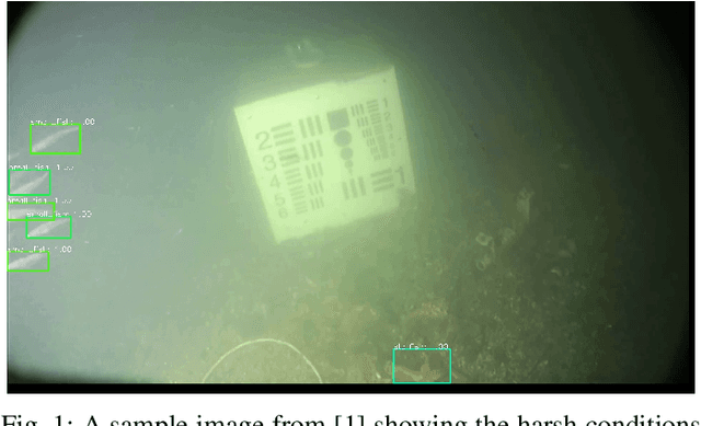 Figure 1 for Underwater Object Classification and Detection: first results and open challenges