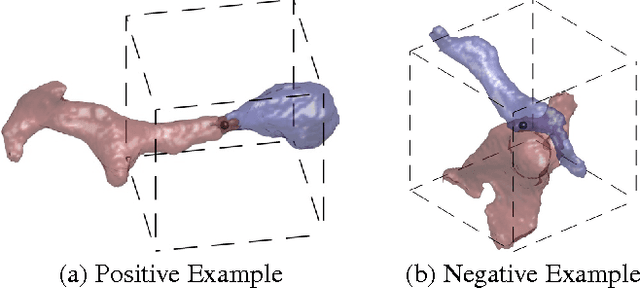 Figure 1 for Learned versus Hand-Designed Feature Representations for 3d Agglomeration