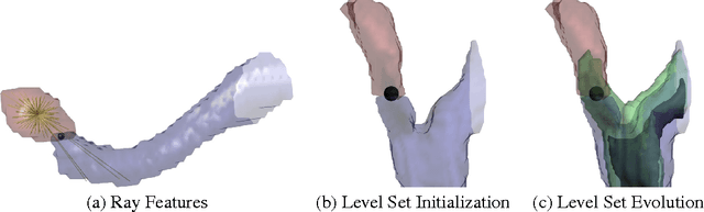 Figure 3 for Learned versus Hand-Designed Feature Representations for 3d Agglomeration