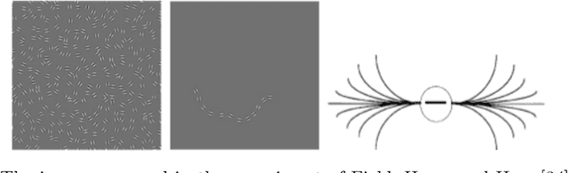 Figure 2 for Neurogeometry of perception: isotropic and anisotropic aspects