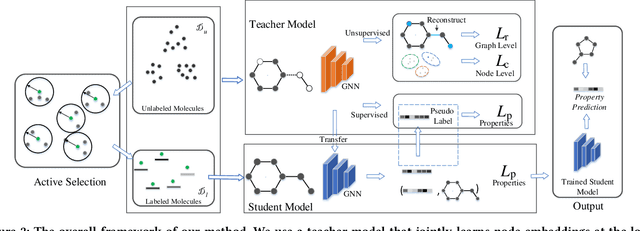 Figure 3 for ASGN: An Active Semi-supervised Graph Neural Network for Molecular Property Prediction