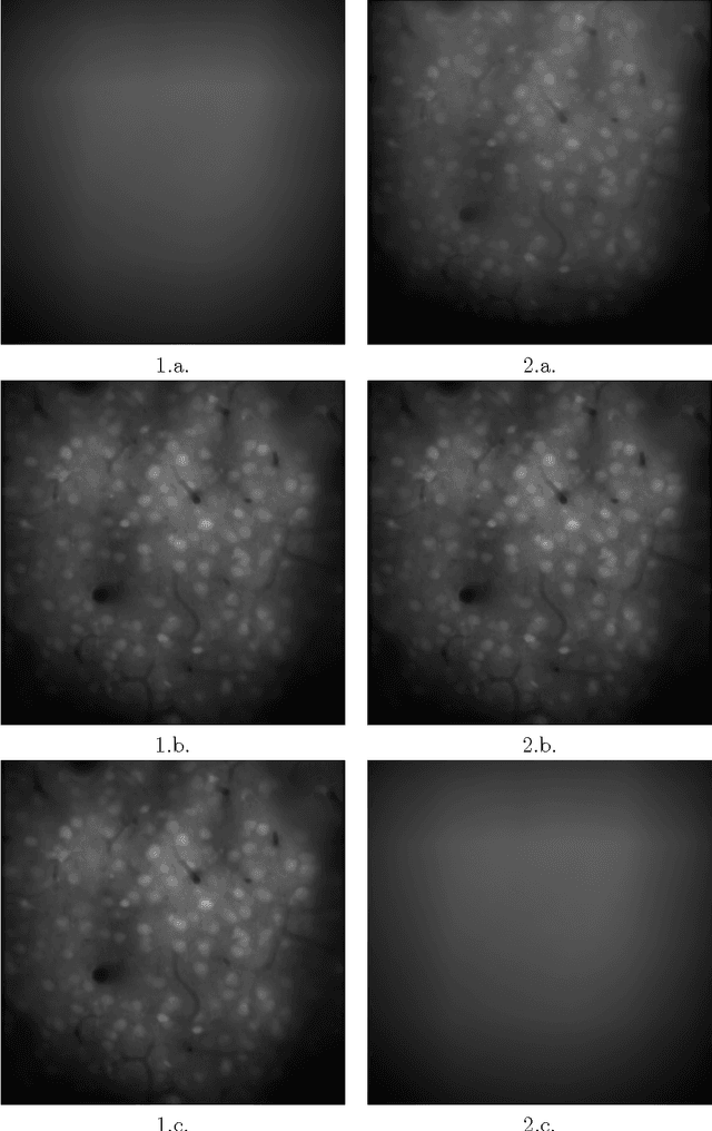 Figure 2 for moco: Fast Motion Correction for Calcium Imaging