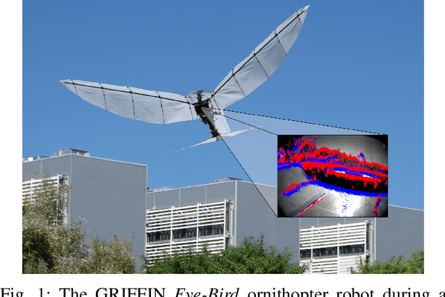 Figure 1 for The GRIFFIN Perception Dataset: Bridging the Gap Between Flapping-Wing Flight and Robotic Perception