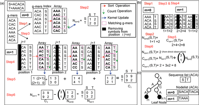 Figure 3 for GaKCo: a Fast GApped k-mer string Kernel using COunting