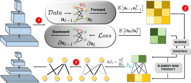 Figure 1 for Network Automatic Pruning: Start NAP and Take a Nap