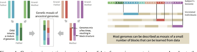 Figure 1 for Semi-Parametric Deep Neural Networks in Linear Time and Memory