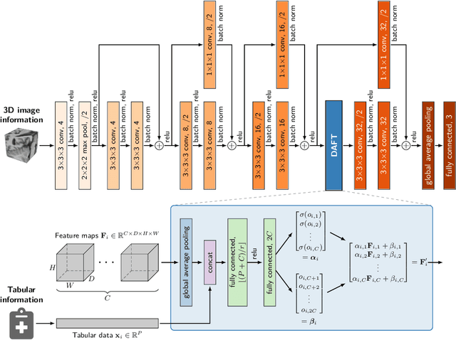 Figure 1 for Combining 3D Image and Tabular Data via the Dynamic Affine Feature Map Transform