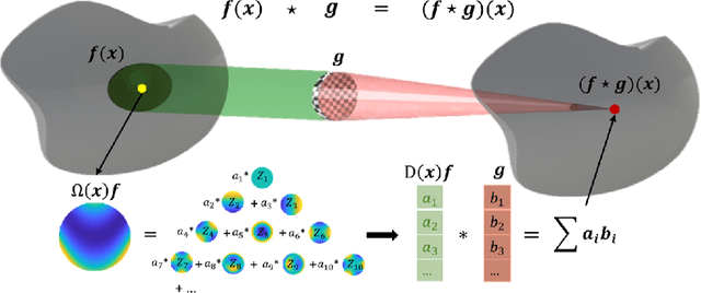 Figure 1 for Wall Stress Estimation of Cerebral Aneurysm based on Zernike Convolutional Neural Networks