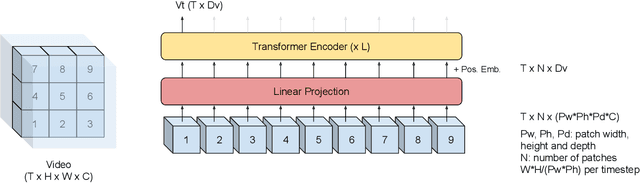 Figure 3 for Audio-Visual Speech Recognition is Worth 32$\times$32$\times$8 Voxels