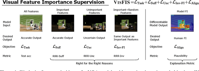 Figure 1 for VisFIS: Visual Feature Importance Supervision with Right-for-the-Right-Reason Objectives