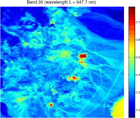Figure 3 for Semiblind Hyperspectral Unmixing in the Presence of Spectral Library Mismatches