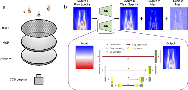 Figure 1 for Removing grid structure in angle-resolved photoemission spectra via deep learning method