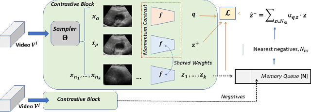Figure 4 for Unsupervised Contrastive Learning of Image Representations from Ultrasound Videos with Hard Negative Mining