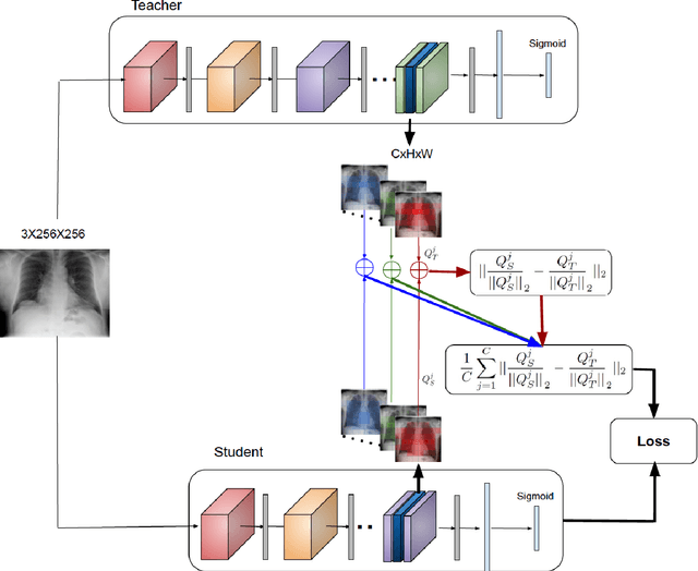 Figure 2 for Evaluating Knowledge Transfer in Neural Network for Medical Images