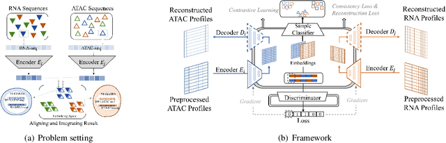 Figure 1 for Contrastive Cycle Adversarial Autoencoders for Single-cell Multi-omics Alignment and Integration