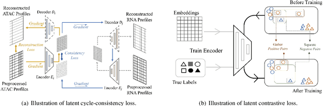 Figure 3 for Contrastive Cycle Adversarial Autoencoders for Single-cell Multi-omics Alignment and Integration