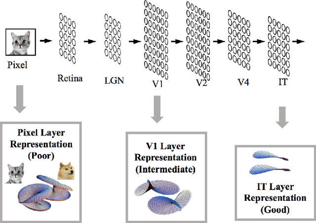 Figure 2 for Statistical Mechanics of Neural Processing of Object Manifolds