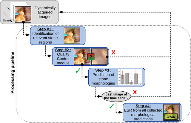 Figure 3 for Deep morphological recognition of kidney stones using intra-operative endoscopic digital videos