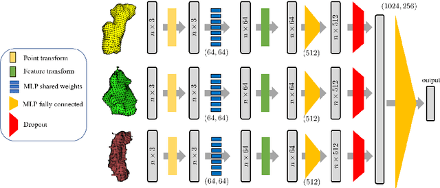 Figure 1 for Deep Multi-Structural Shape Analysis: Application to Neuroanatomy