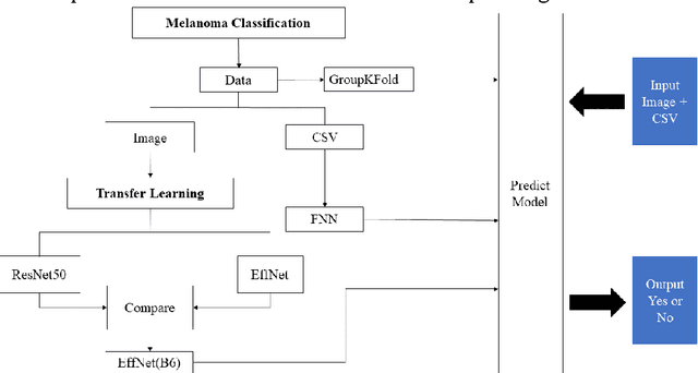 Figure 1 for Multiple EffNet/ResNet Architectures for Melanoma Classification
