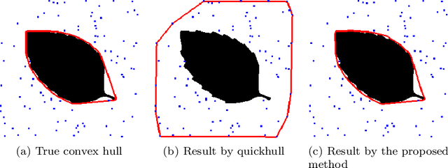 Figure 3 for Convex hull algorithms based on some variational models