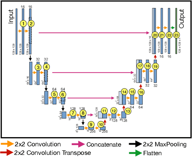 Figure 1 for Analysis of Information Flow Through U-Nets