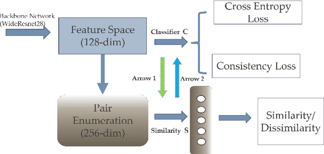 Figure 1 for Metric learning by Similarity Network for Deep Semi-Supervised Learning